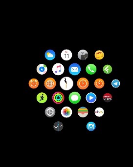 Ein Screenshot von meiner Apple Watch