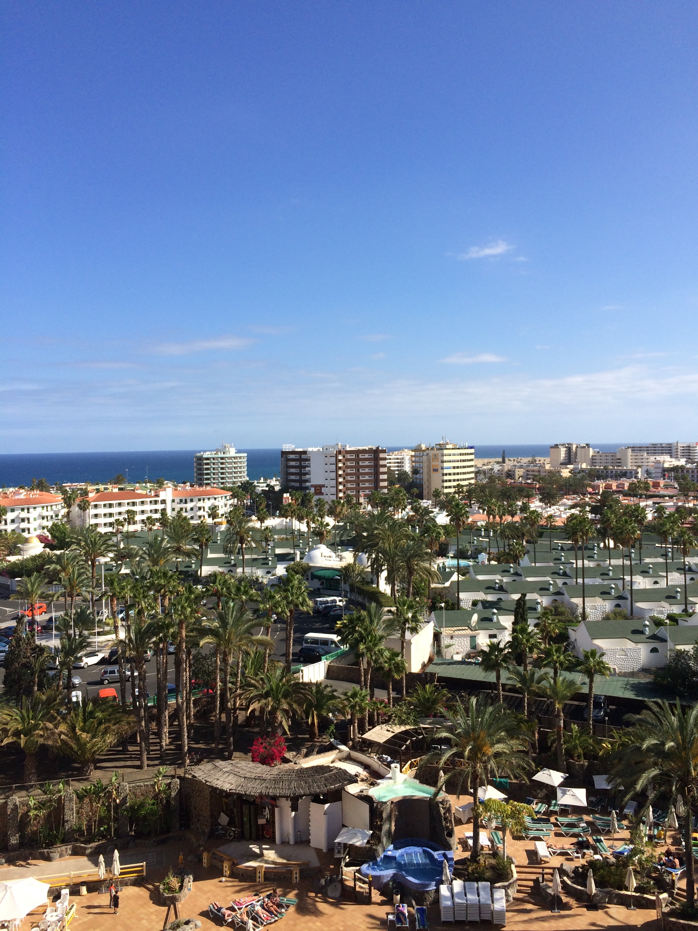 Schlangen halten Gran Canaria in Atem 2