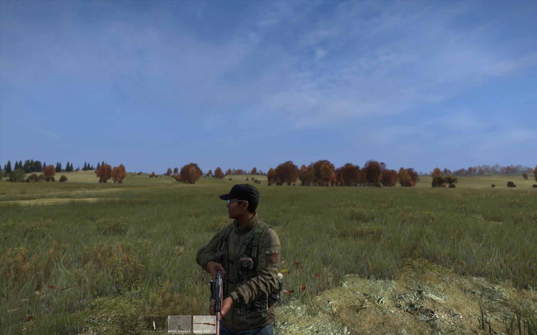 DayZ (Bild: Bohemia Interactive)