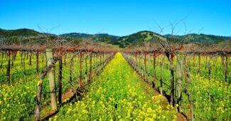 Entdecken Sie die neuen Funktionen von macOS Sonoma: Ein Überblick 5