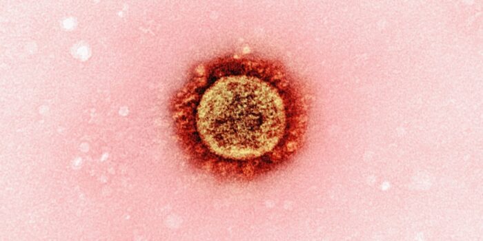 EHEC-Infektionen steigen in Deutschland: Wie gefährlich ist EHEC? 1 Photo EHEC-Infections