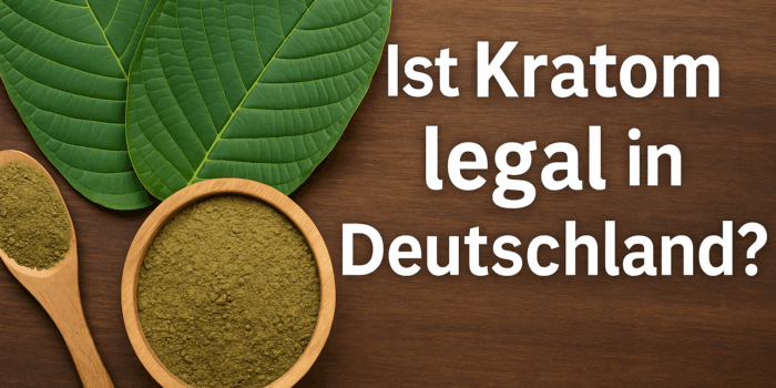 Ist Kratom in Deutschland legal? Dieser Ratgeber schaut sich das genauer an. Zu sehen auf dem Bild: Grünes Kratom, ansehlich aufbereitet.