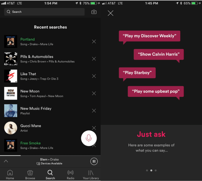 Spotify Voice Control